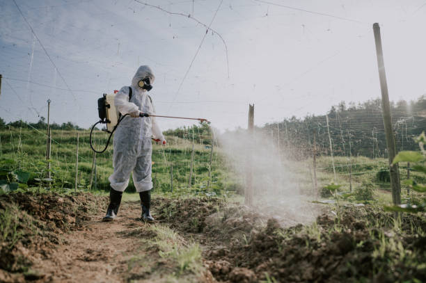 Best Best Pest Control Companies  in Fort Drum, NY