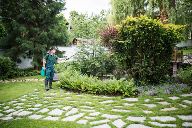 Best Exterminator Services  in Fort Drum, NY