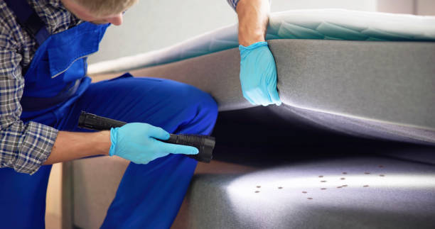 Best Pest Control Near Me in Fort Drum, NY