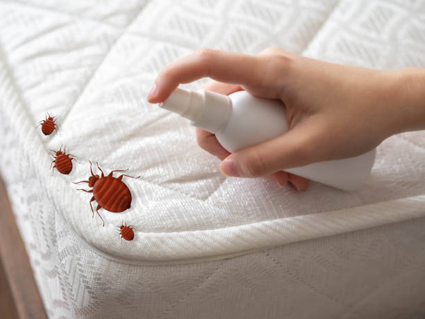 Best Best Pest Control Companies  in Fort Drum, NY