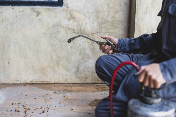 Best Pest Control Cost  in Fort Drum, NY